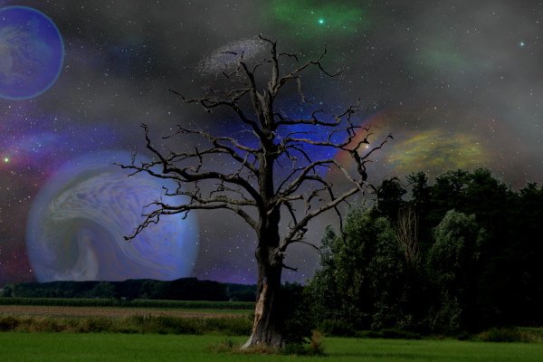 baum_galaxis.png